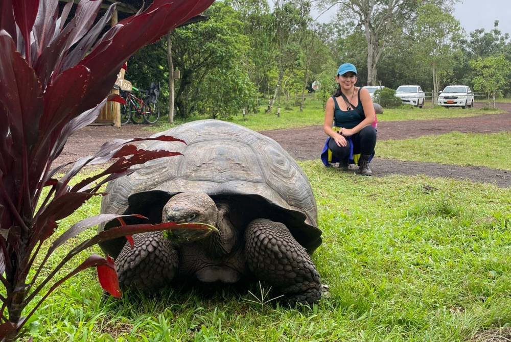 large tortoise with a woman crouching behind it